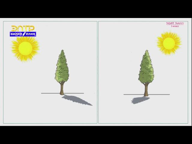 5-класс | Табият таануу | Табият кубулуштардын булагы.Мейкиндик.Убакыт