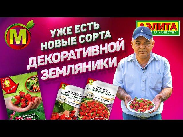 Декоративная Земляника: ЭТО НОВЫЕ СОРТА