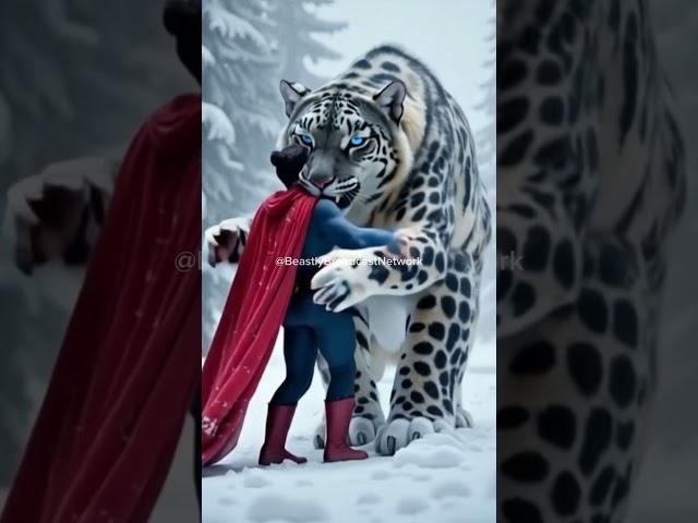 Beastly Tiger hugs Superman #ai #tiger #batman #superman