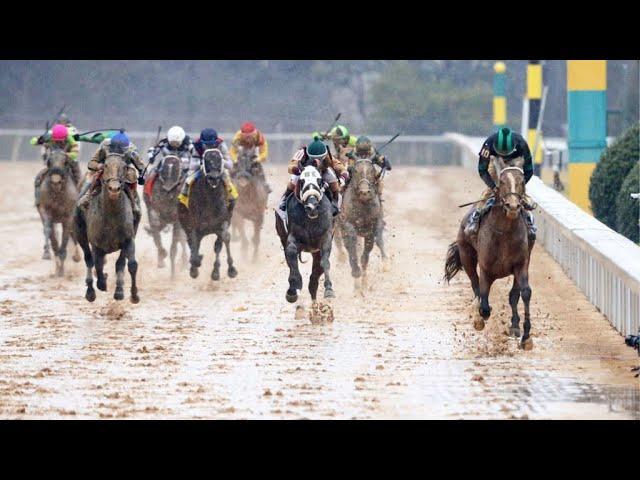 MYSTIK DAN Dominates the 2024 G3 Southwest Stakes