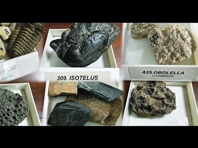 A documentary on department of Geology and Mining | The university of Rajshahi | RUIAN 360