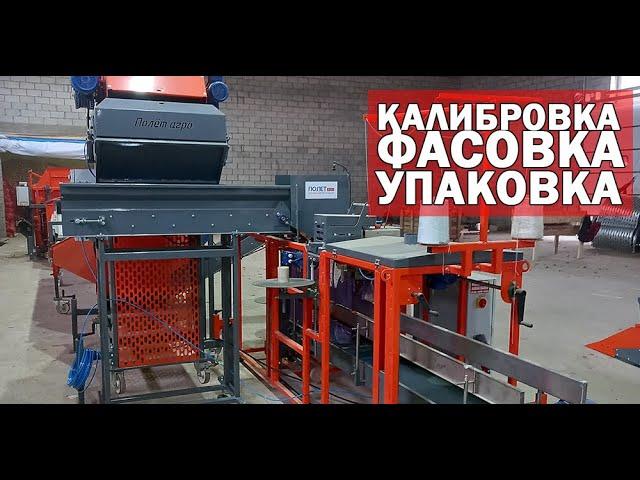 Калибровка фасовка и упаковка овощей (видео)