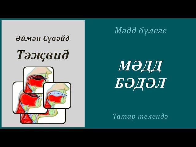 8. Мәдд бүлеге : МӘДД БӘДӘЛ| Әймән Сүвәйд (татарча субтитрлар)