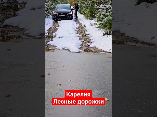 Карелия как всегда удивляет погодой #карелия #путешествия #природа_россии #shortvideo