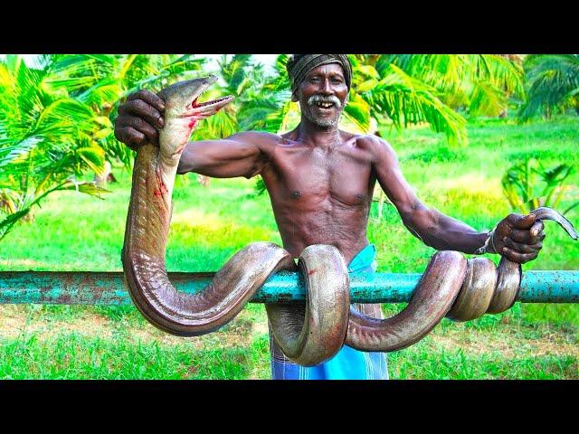 SEA MONSTER SNAKE FISH RECIPE | Village Style Beef and Fish Recipe | Grandpa Fun Show