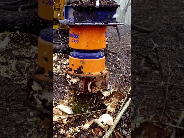 The diverse SC600 helps you easily crush stumps in both residential situations and on forest sites.