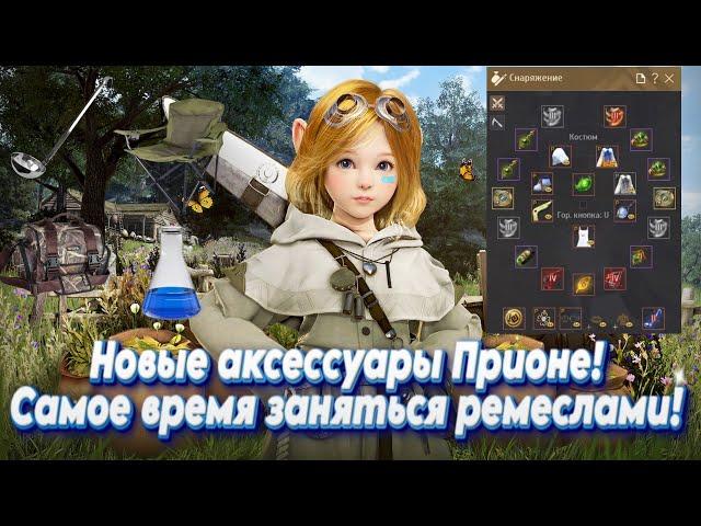 Black Desert. Новая бижутерия Прионе и инструменты Маноса