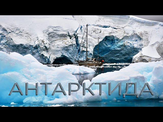 Antarctica. Dreams Come True! Sailing with children to the ice continent. Documentary