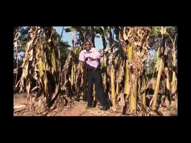 Honorato Pandakwao- Mwanawanga Official HD video