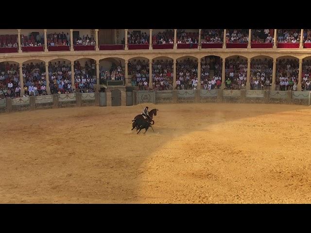 Bullfighting (No Gore) - Ronda - 2/9/18