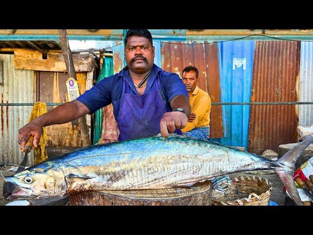 KASIMEDU  SPEED SELVAM | 12 KG BIGG SEER FISH CUTTING VIDEO | IN KASIMEDU | FF CUTTING 