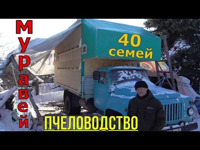 Пчеловодство / Маленький да удаленький / Пчелопавильон 40 семей.