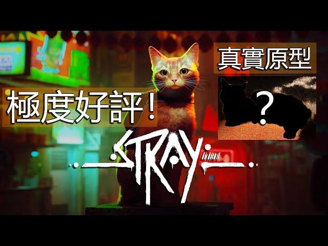 《浪貓 Stray》到底在紅什麼？為什麼可以獲得壓倒性好評？