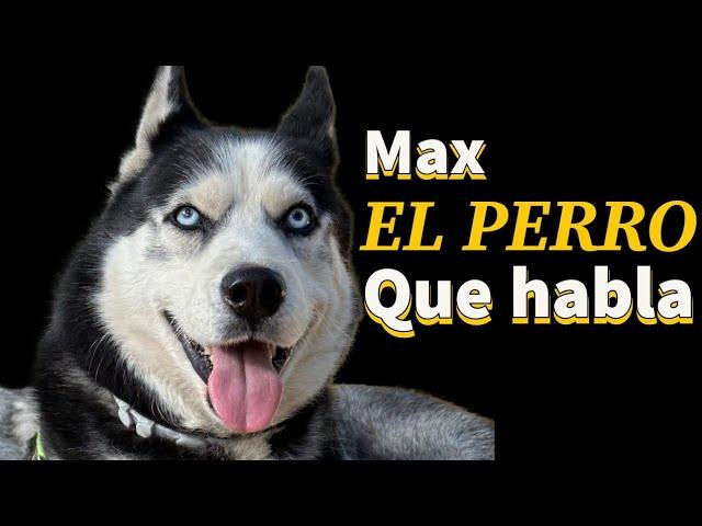 El Perro Que Habla