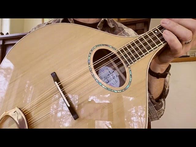 Red Cedar Small-ish Octave Mandolin / Black Walnut body / Nyberg Instruments Video demo