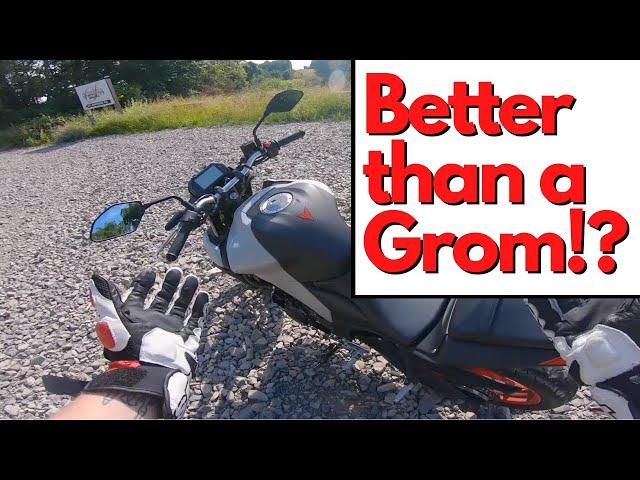 5 Reasons NOT to Buy a Honda Grom || Buy THIS Instead