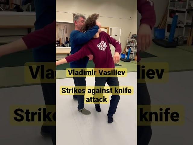 Systema Strikes by Vladimir Vasiliev