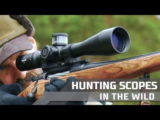 Hunting scopes in the wild
