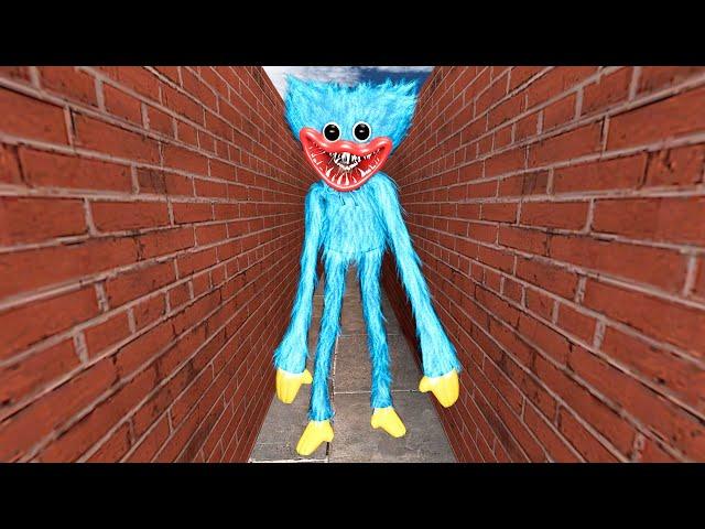 HUGGY VUGGY CHASES US IN THE MAZE GMOD SANDBOX Garry's Mod