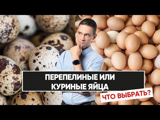 ПЕРЕПЕЛИНЫЕ ИЛИ КУРИНЫЕ ЯЙЦА | ЧТО ВЫБРАТЬ?