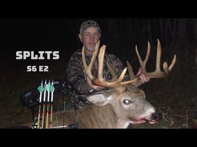 MONSTER Ohio Buck on Hind Legs in a Scrape at 25 Yards!!