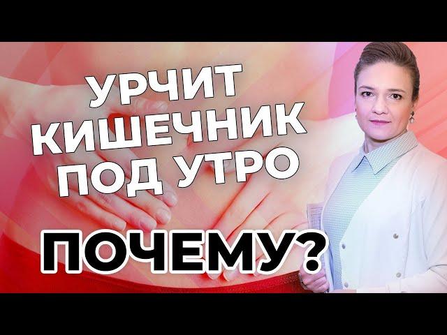 Урчит кишечник под утро - почему?