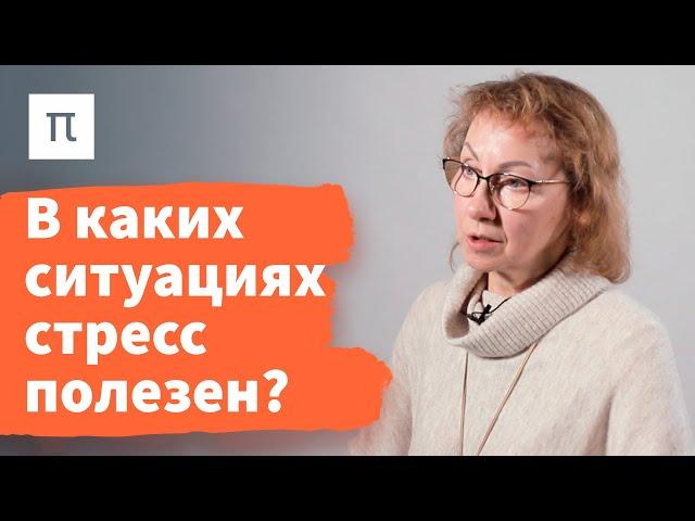 Фазы общего адаптационного синдрома — Анна Усенко / ПостНаука