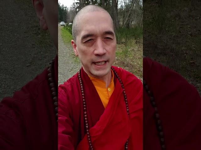 This explains everything! The cause of happiness and suffering  #meditation #awakening