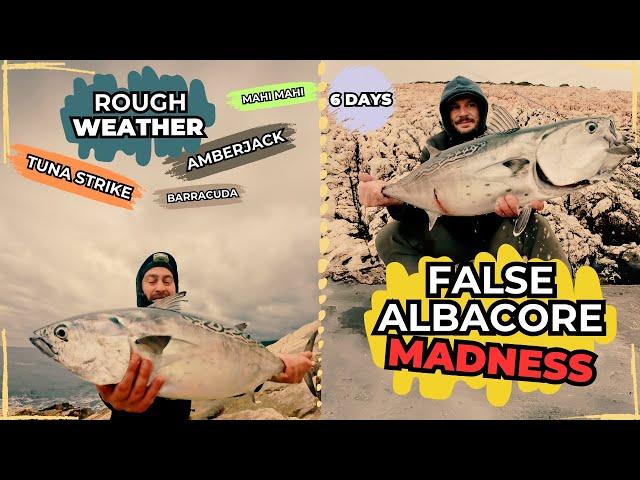 Epic Shore Fishing in Croatia – Albacore Madness