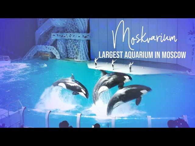 Moskvarium - The Largest Aquarium In Moscow, Russia | Regrow with Ribhav