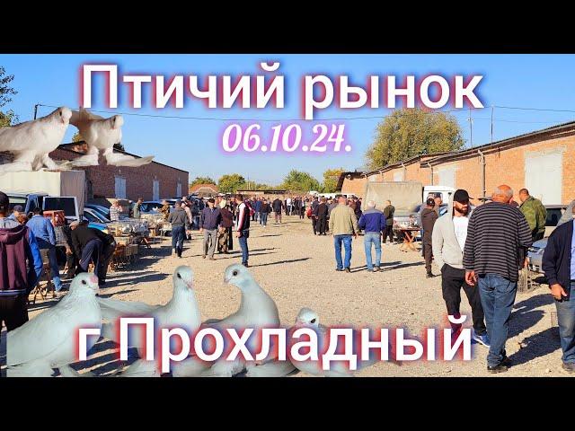 Голуби цены Птичий рынок г Прохладный