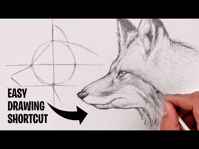 How To Draw a Fox | Sketch Tutorial