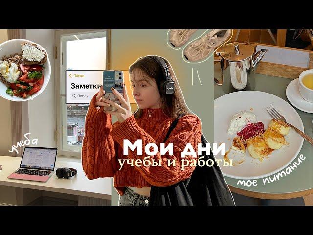 Мой Продуктивный День (дни)  учеба, работа, мое питание и график // vlog