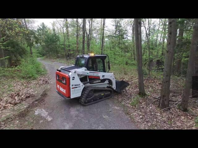 Rudi Jones L&C Ltd. - Dead Tree Removal