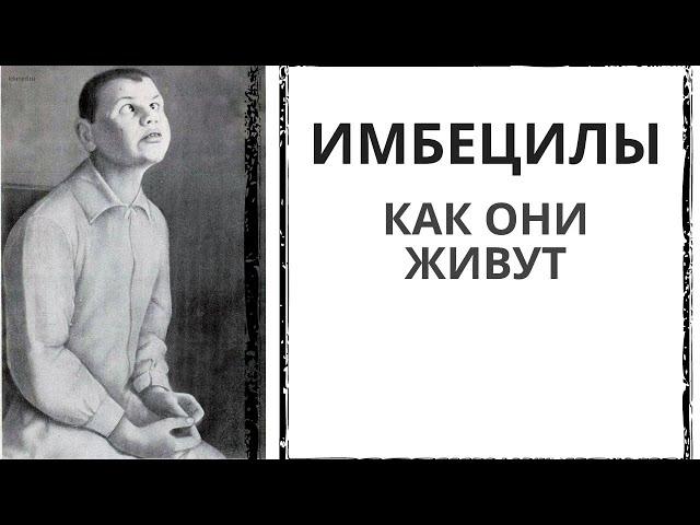 ИМБЕЦИЛЫ. Как распознать и их жизнь