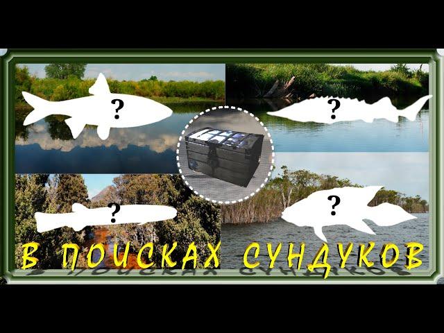 В ПОИСКАХ РЫБ З СУНДУКАМИ!!!~|рр3 2022|~