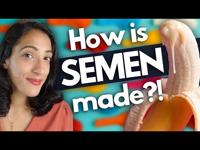 A Urologist explains what is semen made of?