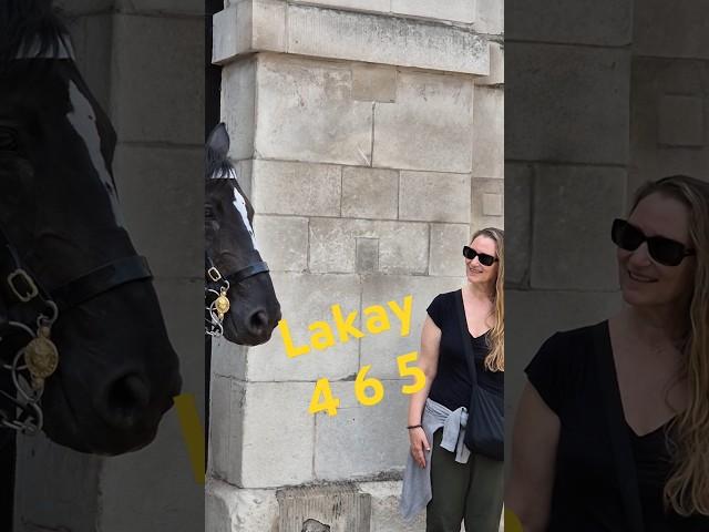 SHE MUST BE A FAN OF ORMONDE #youtubeshorts #shorts #satisfying #royalguards #history #music 