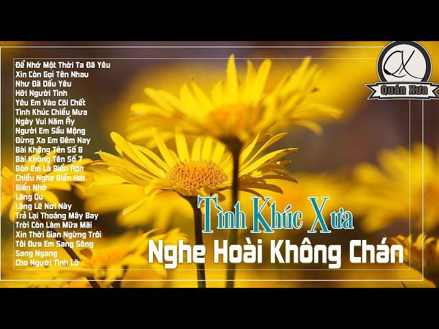 Nghe Hoài Không Chán Tình Khúc Hải Ngoại Xưa | 111 Ca Khúc Quán Nhạc Xưa Cực Hay Một Thời