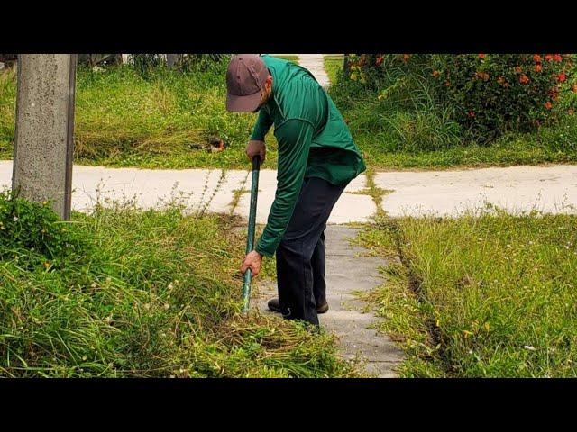 Son Buys House for Mom Doesn't Recognize Property After OVERGROWN Lawn Transformation