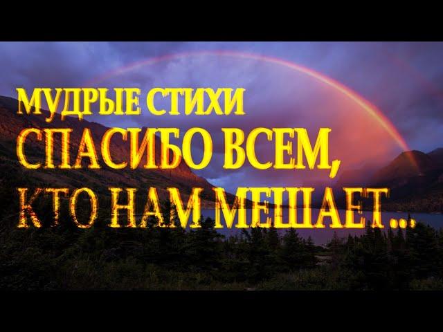 Сильный стих "Спасибо всем кто нам мешает" Наталья Дроздова Читает Леонид Юдин