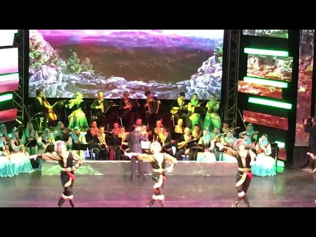 Bashkir ethnic dance and music ( F. Gaskarov dancing group). #respect#viral#music#dance