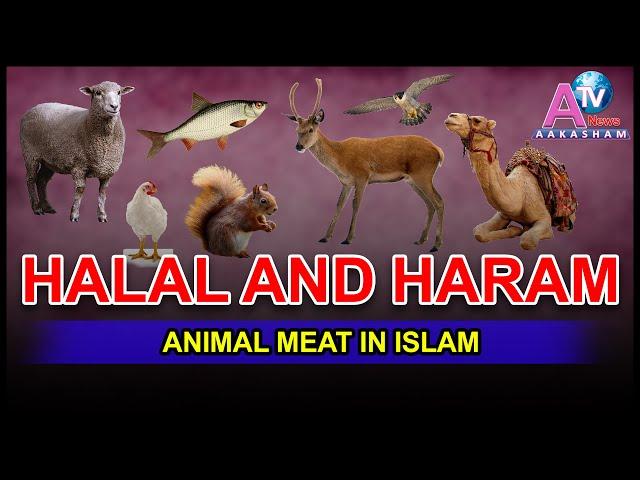 HALAL AND HARAM ANIMAL MEAT IN ISLAM | AAKASHAMURDUNEWS ATV