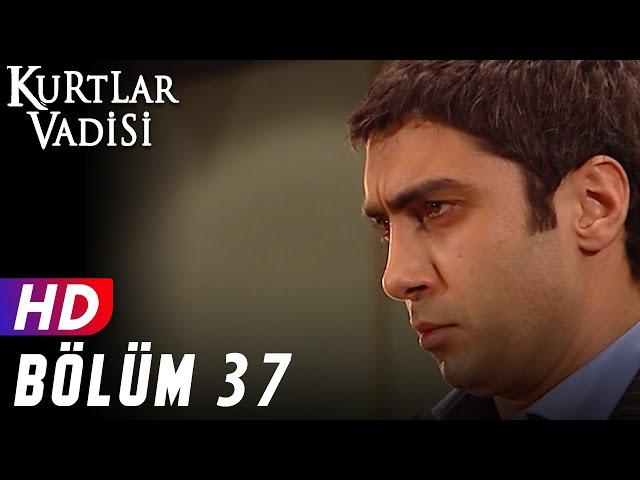 Kurtlar Vadisi - 37.Bölüm | FULL HD YENİ