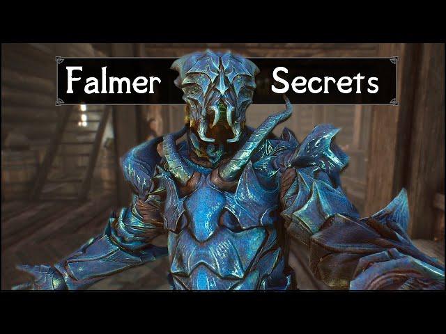 Skyrim: 5 Things They Never Told You About The Falmer