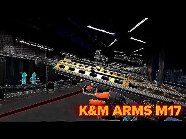 K&M Arms M17 макрос. Warface