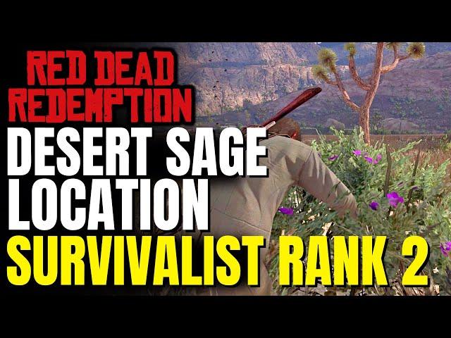 All 6/6 Desert Sage Gaptooth Ridge Locations | Red Dead Redemption Survivalist Rank 2