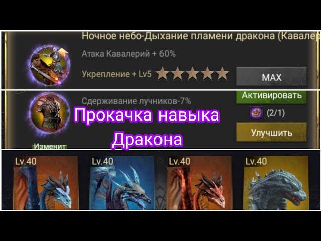 Как быстро прокачать навык дракона 5*+ Clash of Kings