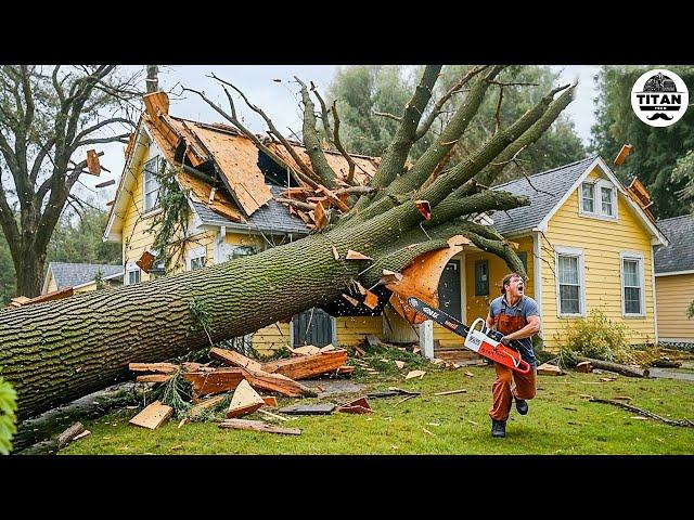 Dangerous Fastest Idiots Cutting Tree Fails Skill With Chainsaw | Tree Falling on Houses #2