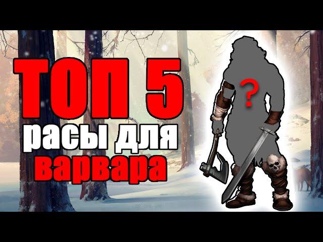 ТОП 5 рас для класса Варвар в ДнД